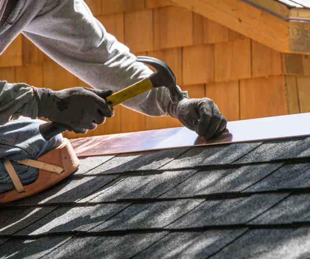 Best Metal Roofing Contractor  in Bourbonnais, IL
